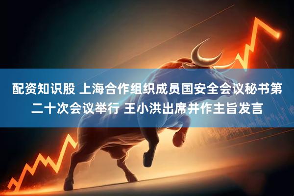 配资知识股 上海合作组织成员国安全会议秘书第二十次会议举行 王小洪出席并作主旨发言
